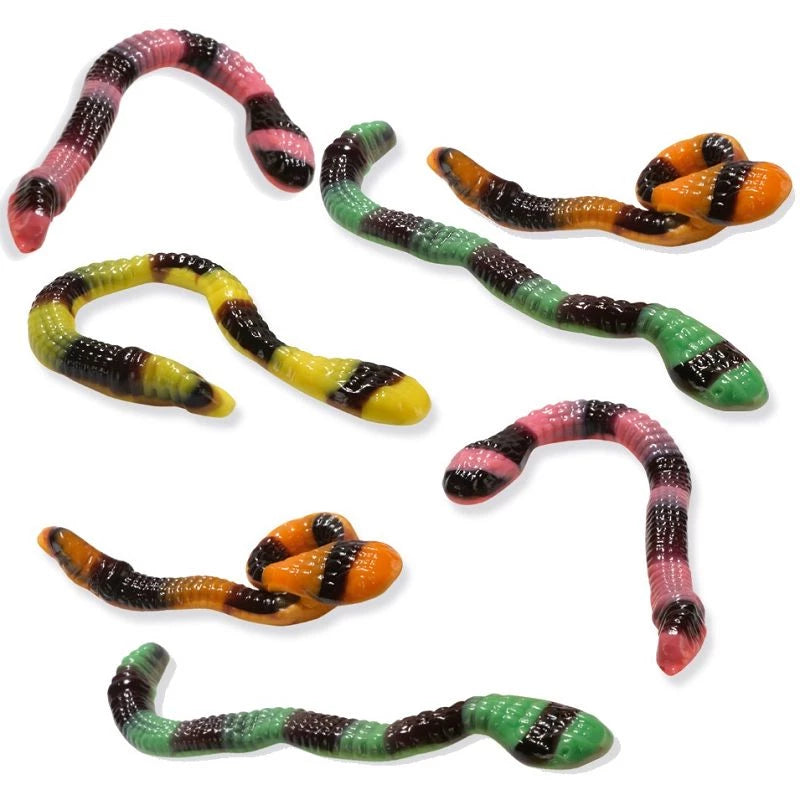 Anacondas Géants (lot de 3)