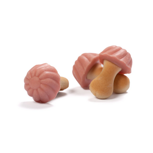 Champignons Fraise (lot de 10)