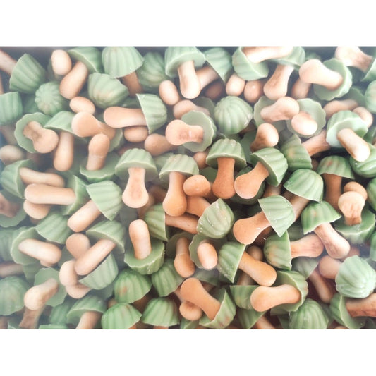 Champignons Pistache (lot 10)