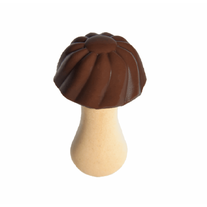 Champignons Chocolat (lot de 10)